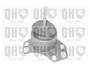 QUINTON HAZELL EM3161 montavimas, automatinė transmisija; montavimas, neautomatinė transmisija 
 Transmisija -> Neautomatinė pavarų dėžė -> Ašies montavimas
7765892