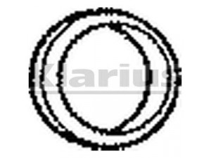 KLARIUS FTG14 tarpiklis, išleidimo kolektorius
21081203121