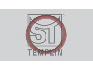 ST-TEMPLIN 02.200.1983.230 tarpiklis
090 700 99 72