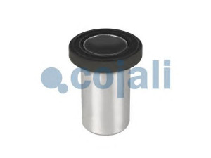 COJALI 6002233 remonto komplektas 
 stûmoklis