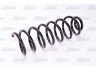 Magnum Technology SW050MT spyruoklė 
 Pakaba -> Spyruoklės