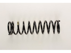 BILSTEIN 36-154197 spyruoklė 
 Pakaba -> Spyruoklės
460 321 02 04