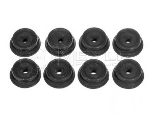 MEYLE 30-14 817 0001/S remonto komplektas, stabilizatoriaus pakaba 
 Ašies montavimas/vairavimo mechanizmas/ratai -> Stabilizatorius/fiksatoriai -> Sklendės
48817-52010