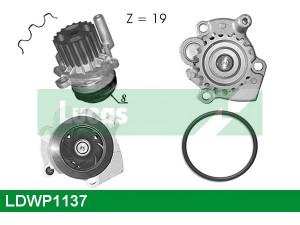 LUCAS ENGINE DRIVE LDWP1137 vandens siurblys 
 Aušinimo sistema -> Vandens siurblys/tarpiklis -> Vandens siurblys
03L121011G, 03L121011GV, 03L121011GX