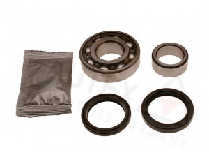 AUTEX 803320 rato guolio komplektas 
 Ašies montavimas/vairavimo mechanizmas/ratai -> Rato stebulė/montavimas -> Rato guolis