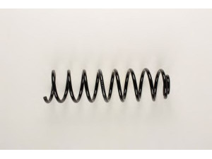 BILSTEIN 36-155088 spyruoklė 
 Pakaba -> Spyruoklės
331 511 115 F