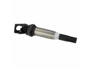 DELPHI GN10571-12B1 ritė, uždegimas 
 Kibirkšties / kaitinamasis uždegimas -> Uždegimo ritė
1213 7594 596, 1213 8616 153