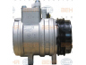 HELLA 8FK 351 273-401 kompresorius, oro kondicionierius 
 Oro kondicionavimas -> Kompresorius/dalys
96256053, 96314801, 96256053, 96314801