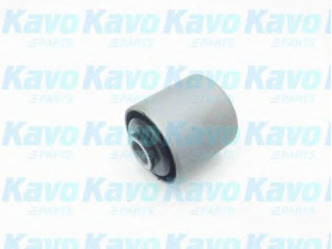 KAVO PARTS SCR-6553 valdymo svirties/išilginių svirčių įvorė 
 Ašies montavimas/vairavimo mechanizmas/ratai -> Valdymo svirtis/pasukamosios svirties sujungimas -> Montavimas/sutvirtinimas
5504506J00