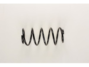 BILSTEIN 36-130399 spyruoklė 
 Pakaba -> Spyruoklės
312 711, 90 182 974