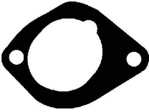 REINZ 71-27037-10 tarpiklis, įsiurbimo kolektorius 
 Variklis -> Cilindrų galvutė/dalys -> Įsiurbimo kolektoriaus tarpiklis/sandarinimo žiedas
11 61 1 726 010