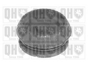 QUINTON HAZELL EMR6015 pakabos statramsčio atraminis guolis 
 Ašies montavimas/vairavimo mechanizmas/ratai -> Montavimas, pakabos statramstis
1039001, V97FB-3K155-AA