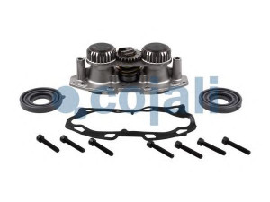 COJALI 6086546 remonto komplektas, stabdžių apkaba
LRG702*P, LRG703*P, LRG736*P, LRG737*P