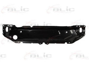 BLIC 6502-08-0066201P priekinis variklio gaubtas
51647033741