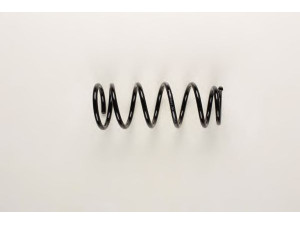 BILSTEIN 36-200566 spyruoklė 
 Pakaba -> Spyruoklės
-55020-5M801, -55020-5M811