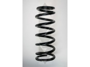 SPIDAN 55599 spyruoklė 
 Pakaba -> Spyruoklės
CCC 6536/2, JLM 11422