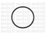 METELLI 24-0765 vandens siurblys 
 Aušinimo sistema -> Vandens siurblys/tarpiklis -> Vandens siurblys
036 121 005F, 036 121 005P, 036 121 008G