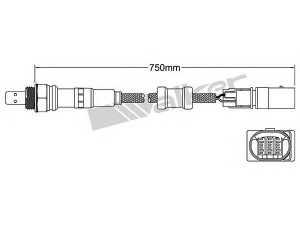WALKER PRODUCTS 250-25092 lambda jutiklis 
 Išmetimo sistema -> Jutiklis/zondas
3F906262, 3F906262, 3F906262, 3F906262