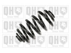QUINTON HAZELL QCS7899 spyruoklė 
 Pakaba -> Spyruoklės
251 511 105 E