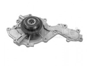 MEYLE 613 220 0005 vandens siurblys 
 Aušinimo sistema -> Vandens siurblys/tarpiklis -> Vandens siurblys
13 34 144, 7701474006, 59 51 835