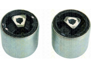 TRISCAN 8500 11841 valdymo svirties/išilginių svirčių įvorė 
 Ašies montavimas/vairavimo mechanizmas/ratai -> Valdymo svirtis/pasukamosios svirties sujungimas -> Montavimas/sutvirtinimas
31 12 0 305 612