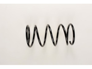 BILSTEIN 36-215041 spyruoklė 
 Pakaba -> Spyruoklės
4040A090, MR961645