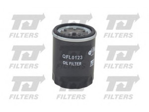 QUINTON HAZELL QFL0123 alyvos filtras 
 Techninės priežiūros dalys -> Techninės priežiūros intervalai
3 521 840, 3 891 893, 5 016 958