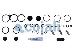 COJALI 6012204 remonto komplektas, pneumatinės spyruoklės vožtuvas
81259026127