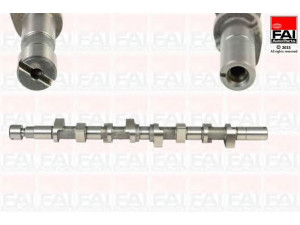 FAI AutoParts C301 skirstomasis velenas 
 Variklis -> Variklio uždegimo laiko reguliavimo kontrolė -> Skirstomasis velenas
7700107373