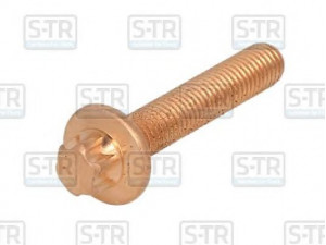 S-TR STR-40224 varžtas, išmetimo sistema 
 Išmetimo sistema -> Surinkimo dalys -> Atskiros surinkimo dalys -> Varžtas / veržlė /  žiedas
51.90001.0166, 51.90490.0030, 51900010156