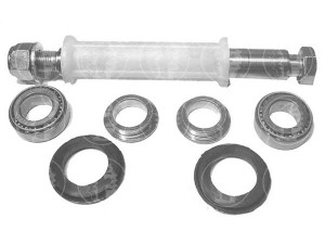 FARE SA 2220 valdymo svirties/išilginių svirčių įvorė 
 Ašies montavimas/vairavimo mechanizmas/ratai -> Valdymo svirtis/pasukamosios svirties sujungimas -> Montavimas/sutvirtinimas
46519894, 46519897, 46519898, 7603697