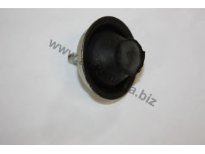 AUTOMEGA 3018440A3 variklio montavimas
1844A3, 1844A3