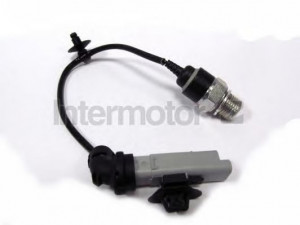 STANDARD 50924 alyvos slėgio jungiklis 
 Variklis -> Variklio elektra
1131 K9, 96 703 635 80