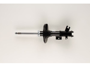 BILSTEIN 22-118691 amortizatorius
30883428