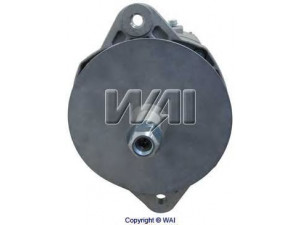 WAIglobal 8081N kintamosios srovės generatorius
F7HS10300AA, F7HSAA, 3675236RX