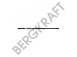 BERGKRAFT BK29371021SP dujinė spyruoklė, bagažinė
81.74821.0039, 81748210039