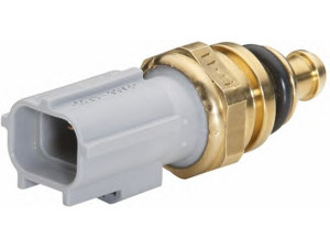 HELLA 6PT 009 309-781 siuntimo blokas, aušinimo skysčio temperatūra 
 Elektros įranga -> Jutikliai
1 484 876, 11 09 340, 14 58 378