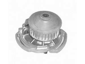 MAGNETI MARELLI 352316171188 vandens siurblys 
 Aušinimo sistema -> Vandens siurblys/tarpiklis -> Vandens siurblys
030121004A, 030121004B, 030121004S