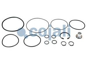 COJALI 6014022 remonto komplektas