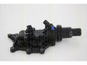 TRISCAN 8620 25689 termostatas, aušinimo skystis 
 Aušinimo sistema -> Termostatas/tarpiklis -> Thermostat
8200 158 269, 8200 561 434, 8200 158 269