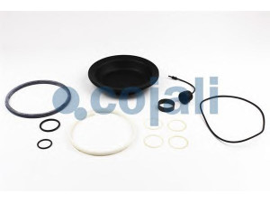 COJALI 6019015 remonto komplektas, darbinis cilindras; remonto komplektas