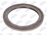 BTA B06-2055 veleno sandariklis, alkūninis velenas
0149974647, 5000560823