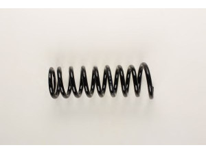 BILSTEIN 36-154067 spyruoklė 
 Pakaba -> Spyruoklės
140 324 18 04