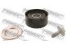 FEBEST 2487-001 įtempiklio skriemulys, V formos rumbuotas diržas
11925-00Q0D, 8200603359