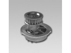 GK 982791 vandens siurblys 
 Aušinimo sistema -> Vandens siurblys/tarpiklis -> Vandens siurblys
96350799, 96872704