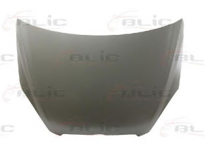 BLIC 6803-00-3150280P gaubtas 
 Kėbulas -> Transporto priemonės priekis -> Gaubtas/dalys/garso izoliacinė medžiaga
664001E010