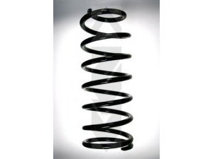 SPIDAN 55020 spyruoklė 
 Pakaba -> Spyruoklės
48231-60250