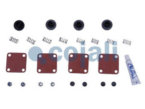 COJALI 6012130 remonto komplektas