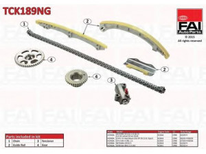 FAI AutoParts TCK189NG pavaros grandinės komplektas 
 Variklis -> Variklio uždegimo laiko reguliavimo kontrolė -> Sinchronizavimo grandinė/įtempiklis/kreiptuvas -> Pavaros grandinės komplektas