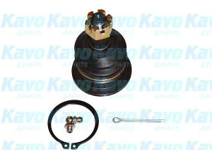 KAVO PARTS SBJ-9055 atramos/vairo trauklė 
 Ašies montavimas/vairavimo mechanizmas/ratai -> Sujungimai -> Atramos/vairo trauklė
433100C011, 4331060010, 4331060020